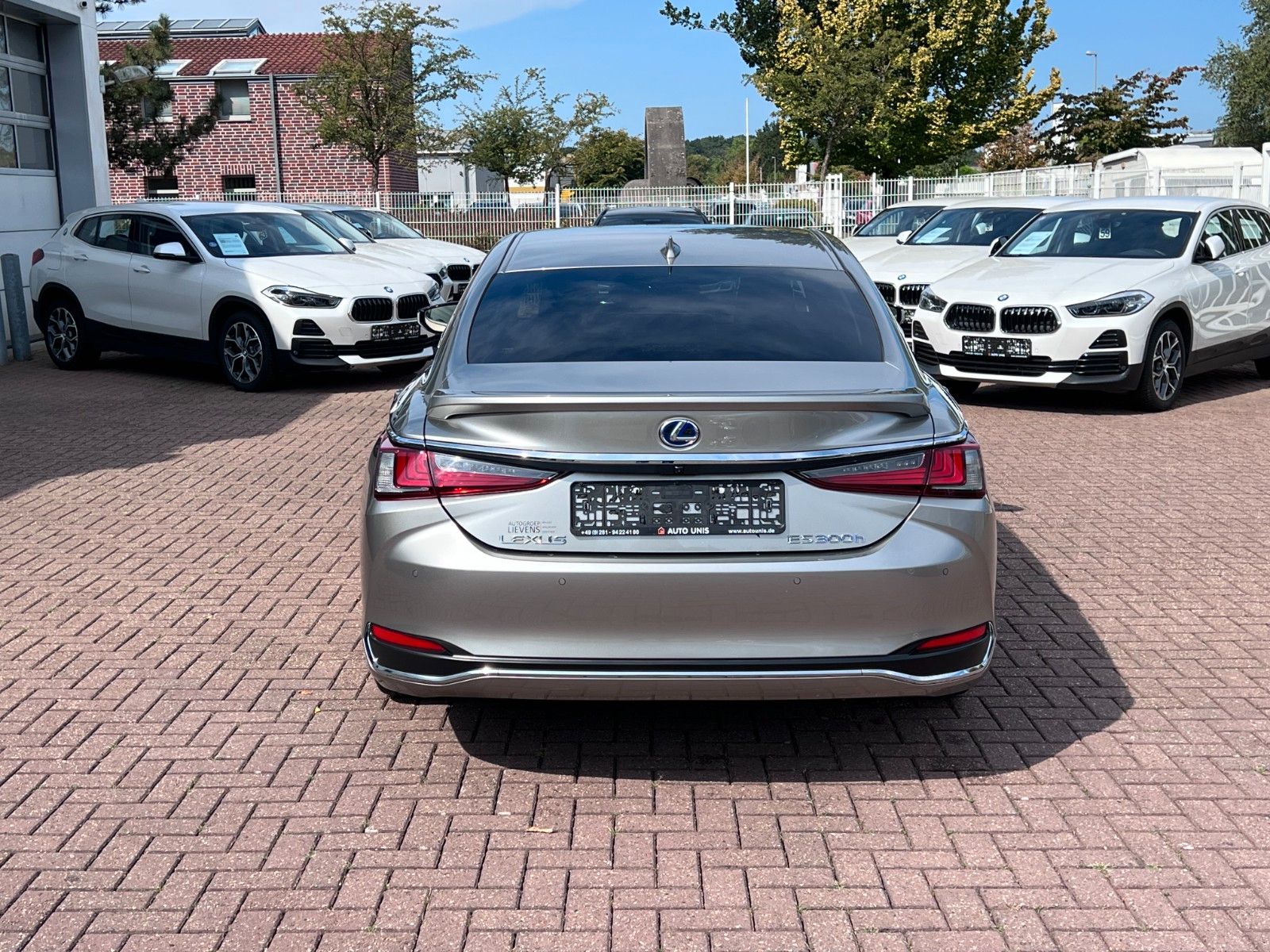 Купить Lexus 300H HEV EXPLORE LINE в Литве | фото №5 | Unis.lt